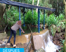Agua A La Vereda